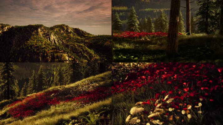 三维动画自然山林山脉夕阳美景