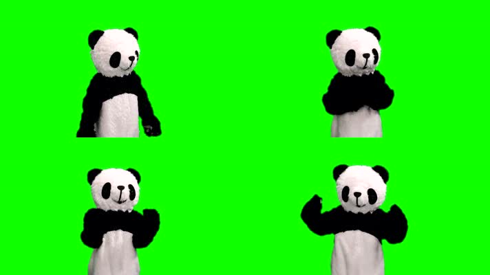 绿幕：有动作的熊猫