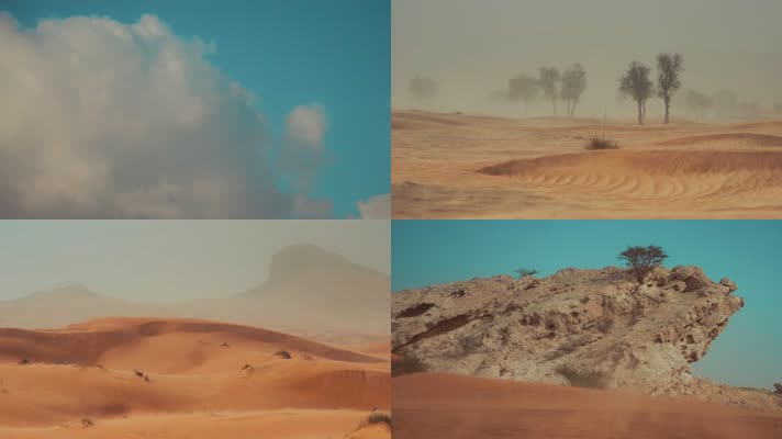 【4K】沙漠风沙