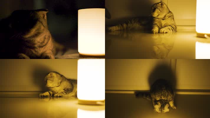 猫咪氛围灯