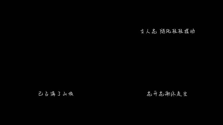 梅艳芳 - 女人花（1080P）