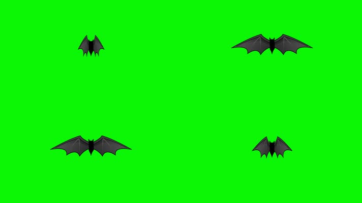 蝙蝠视频循环带通道