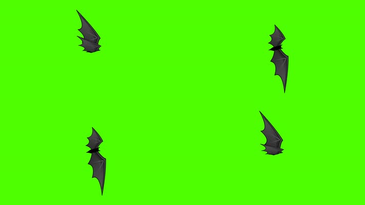 蝙蝠动态循环带通道