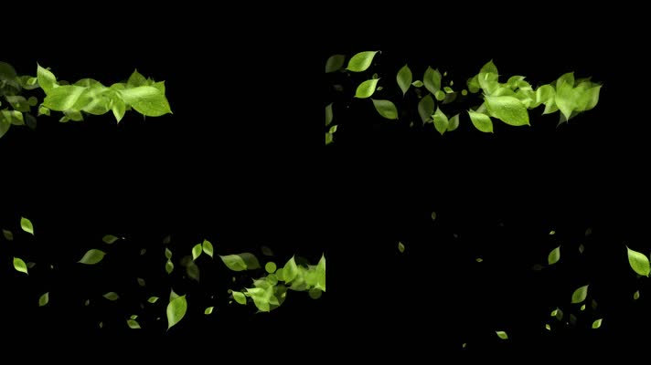 绿叶叶子划过屏幕视频-alpha通道
