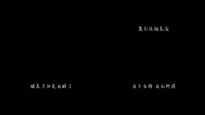 田震 - 爱不后悔（1080P）