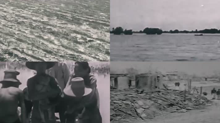 1946江淮地区旱涝蝗雹灾害