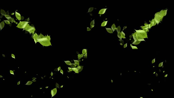 叶子绿叶粒子曲线运动视频-alpha通道