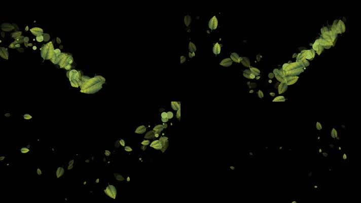 绿叶树叶粒子曲线运动视频-alpha通道