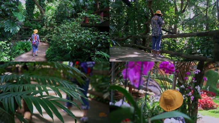 亚热带云南海南广东游客游人热带植物园游览