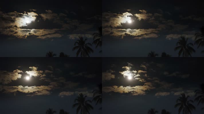 晚上月亮