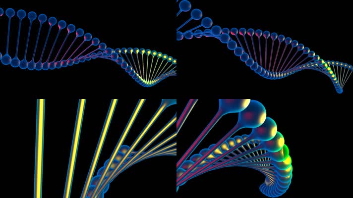 DNA动画带透明通道