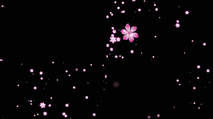 花朵粒子飘过屏幕
