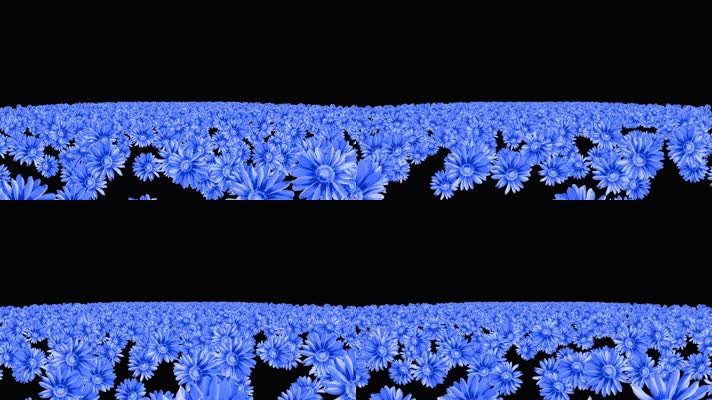 蓝色菊花粒子海冲屏幕视频