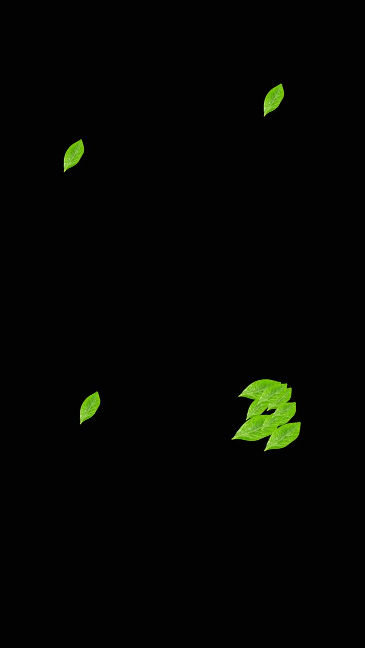 绿色茶叶小动画装饰素材