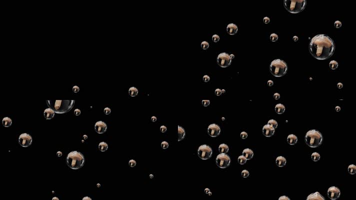 香菇蘑菇气泡粒子视频素材带通道
