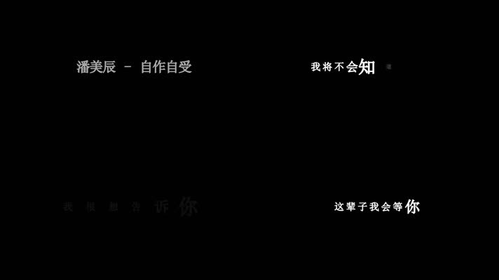 潘美辰-自作自受歌词dxv编码字幕