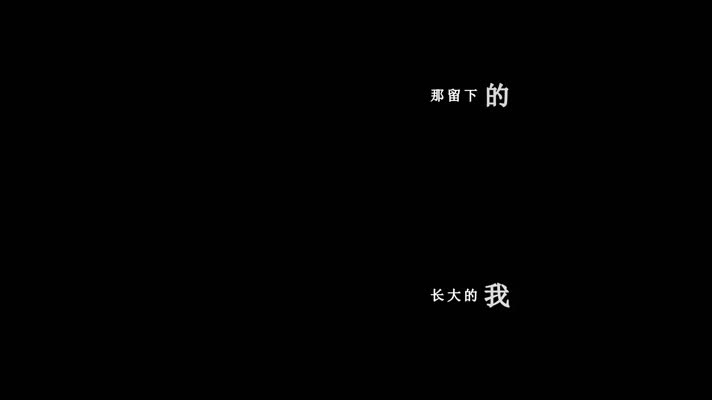 庞龙-父亲歌词dxv编码字幕