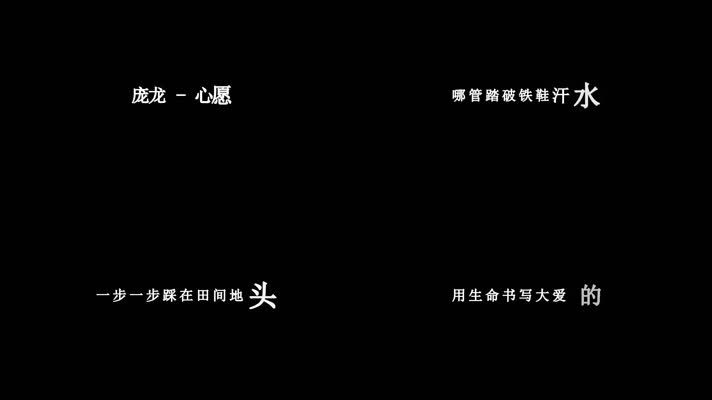 庞龙-心愿歌词dxv编码字幕