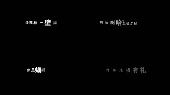 潘玮柏-壁虎漫步歌词dxv编码字幕