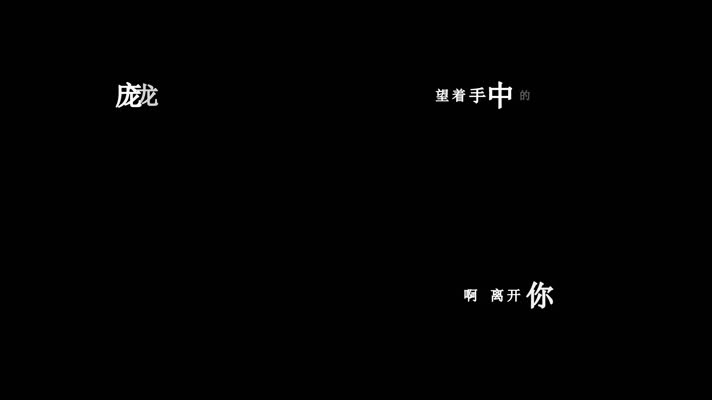 庞龙-杯水情歌歌词dxv编码字幕