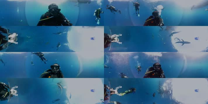 N0180-4K古巴海底潜水全景视频