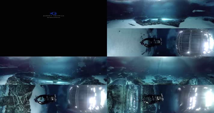 N0196-4K海底潜水风光全景视频