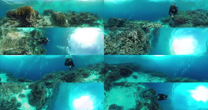 N0203-4K海底潜水全景视频 (4)
