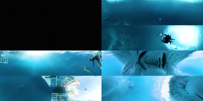 N0440-4K深海鲨鱼游动全景视频