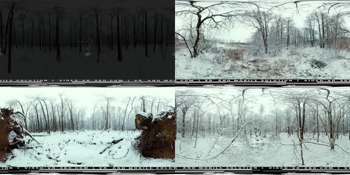 N0757-8K冬天森林全景视频