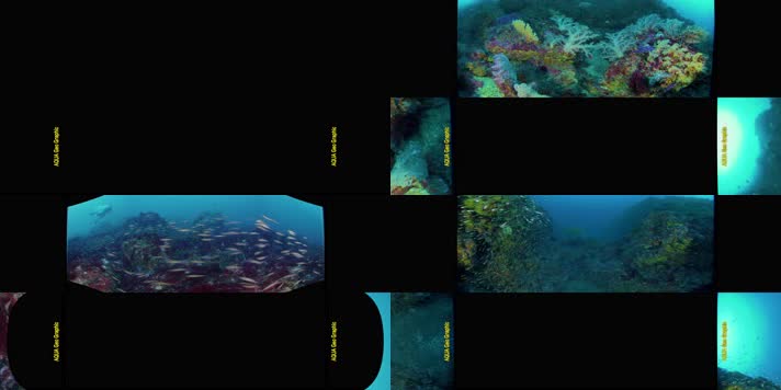 N0787-8K海底世界全景视频
