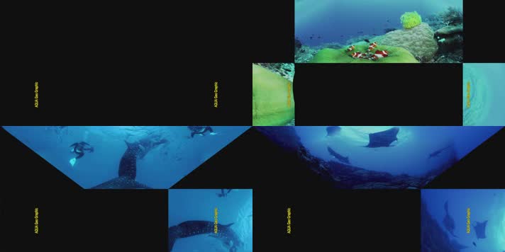 N0786-8K海底世界VR全景视频超精