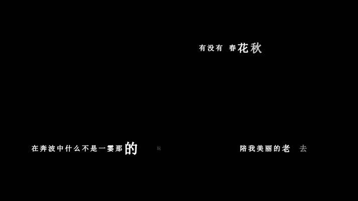 李荣浩-老伴歌词视频