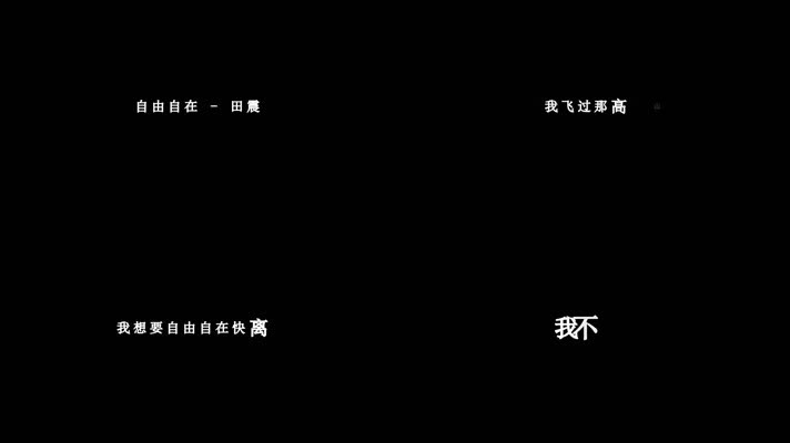 田震-自由自在歌词dxv编码字幕
