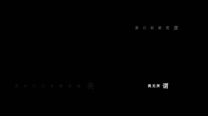田震-无标题歌词dxv编码字幕