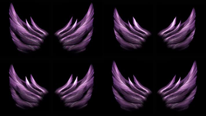 紫色翅膀循环