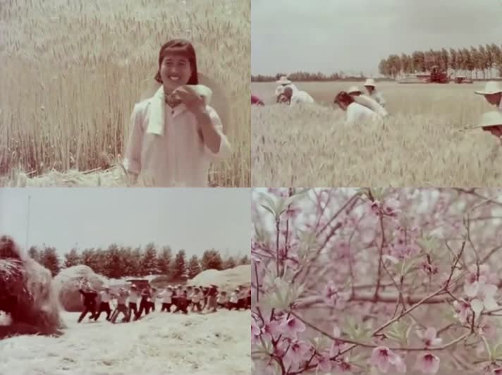70年代中国戏曲团送戏下乡影像17