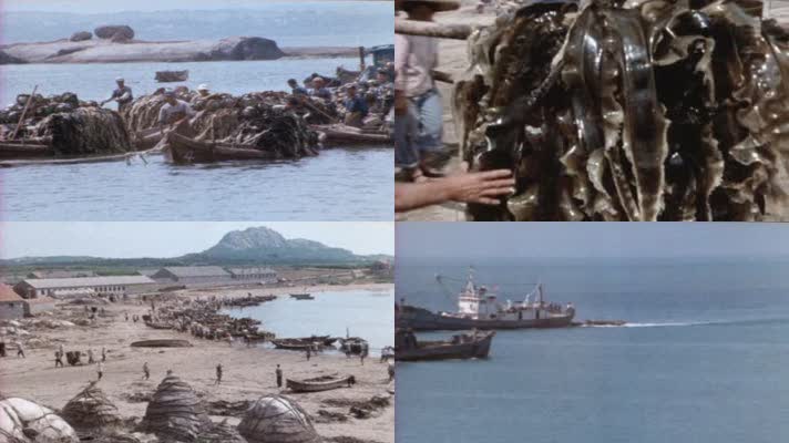 70年代大鱼岛渔民生活影像23