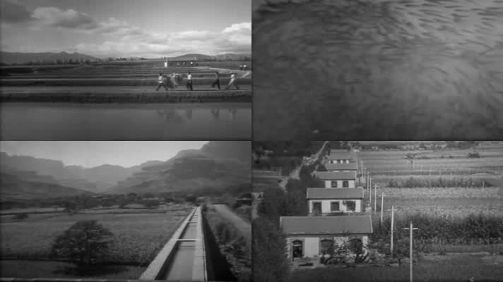 50年代红旗渠建设惠及人民养殖影像10