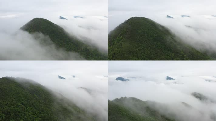 【4k]高山云雾缭绕