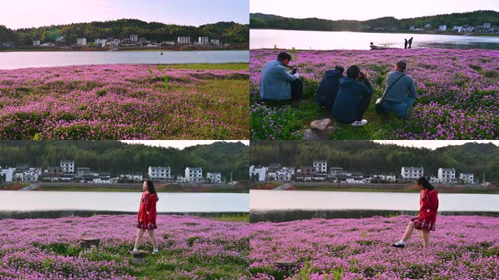 湖畔紫云英红花人像
