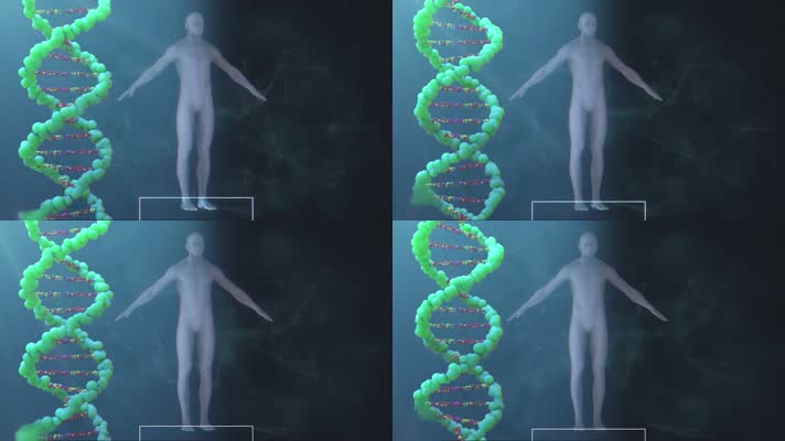 人体DNA链医学科技背景循环