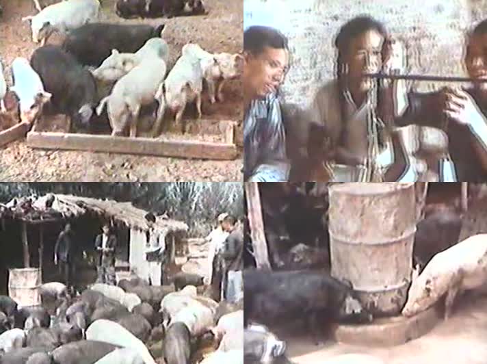 60年代北京农业学大寨劳动影像25