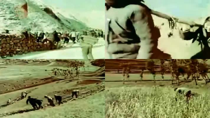 60年代内蒙古知青上山下乡影像4
