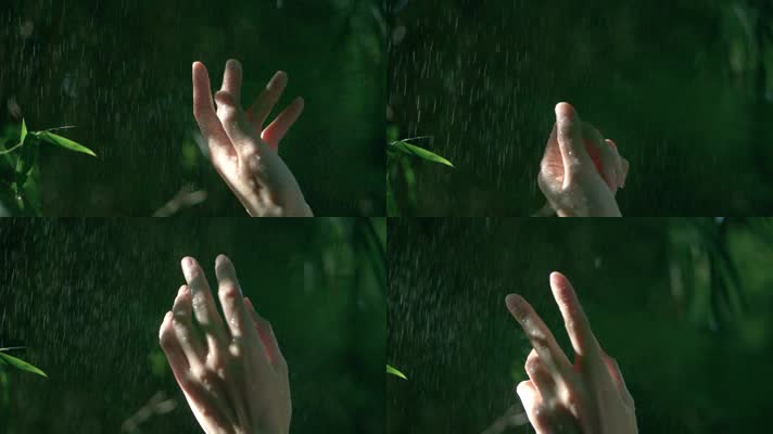 女孩伸手感受雨滴，抚摸竹叶感受大自然视频