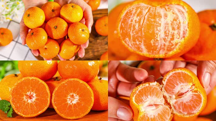 小蜜橘 无籽蜜桔