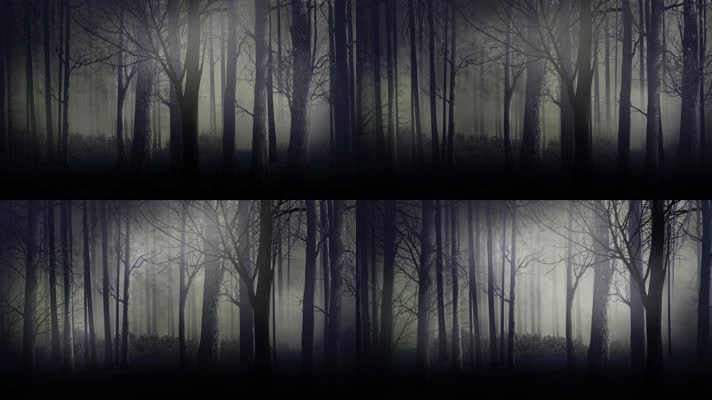 幽暗森林