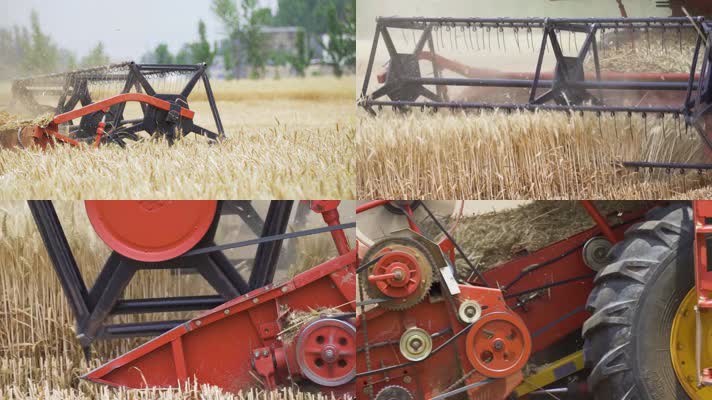 农业大丰收三夏生产收麦子