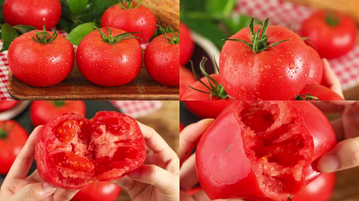 普罗旺斯西红柿视频 西红柿 番茄 大番茄