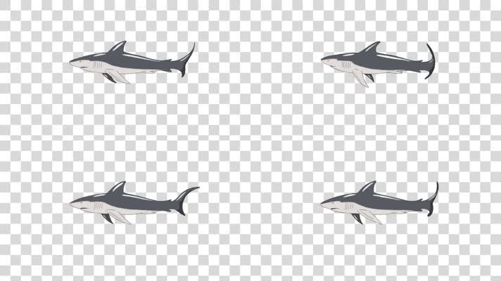 mg游动的鲨鱼-alpha通道