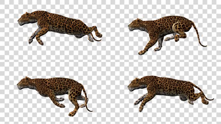 3D奔跑的豹子-alpha通道